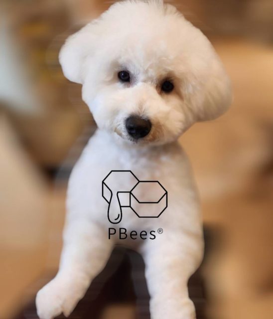 画像：ニュージーランド産生はちみつ専門店神楽坂ピービーズ