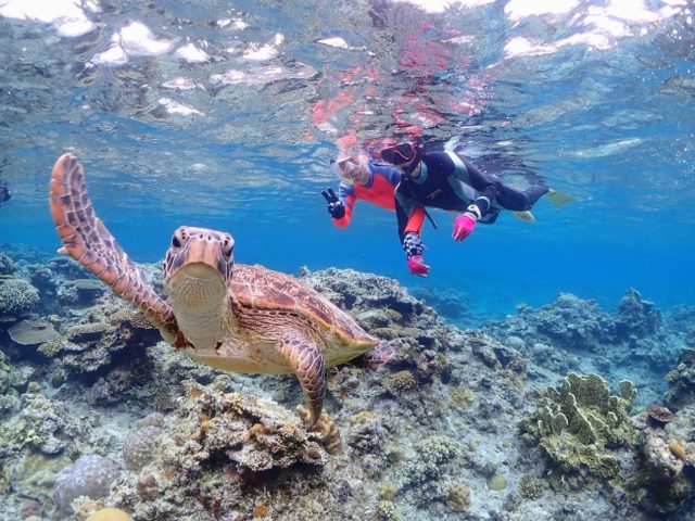 画像：素潜り漁師と行く、海の旅！　1日1組貸切制！