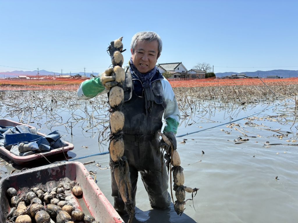 画像:株式会社児玉総合情報事務所